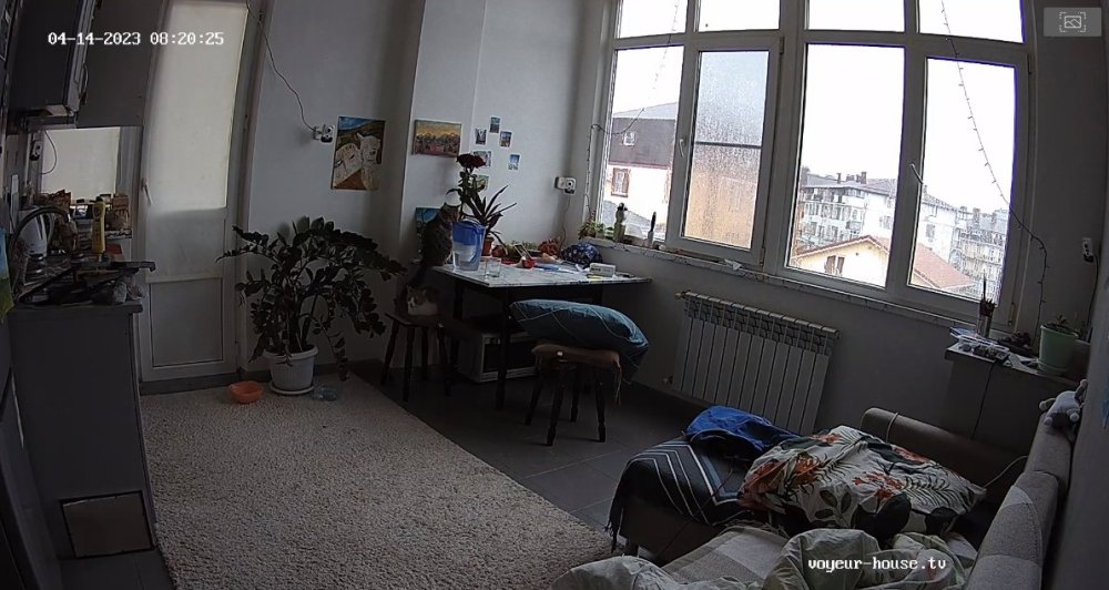 bandicam 2023-04-14 05-17-19-455.jpg