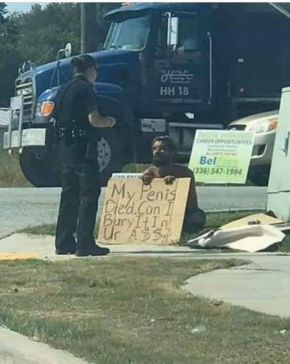 PICTURE FUNNY 2210.jpg