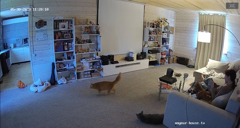 bandicam 2023-05-30 14-52-06-852.jpg