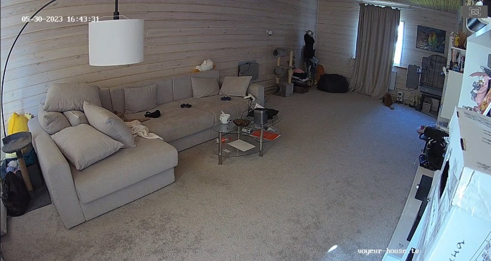 bandicam 2023-05-30 15-10-24-028.jpg