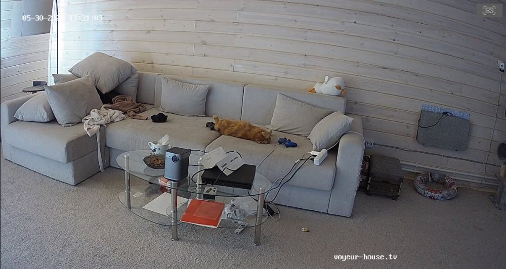 bandicam 2023-05-30 15-11-33-869.jpg