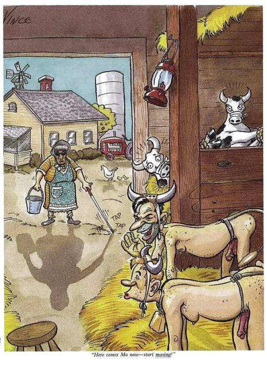 PICTURE FUNNY CARTOON 16.jpg