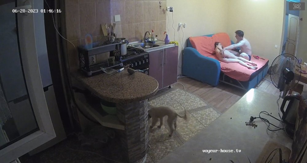 bandicam 2023-06-19 15-03-17-939.jpg