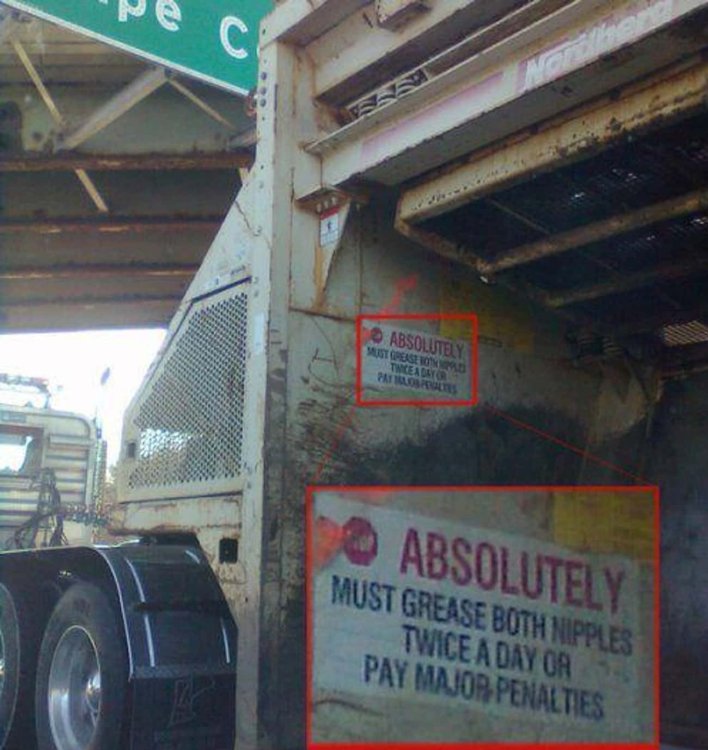 PICTURE FUNNY 2328.jpg