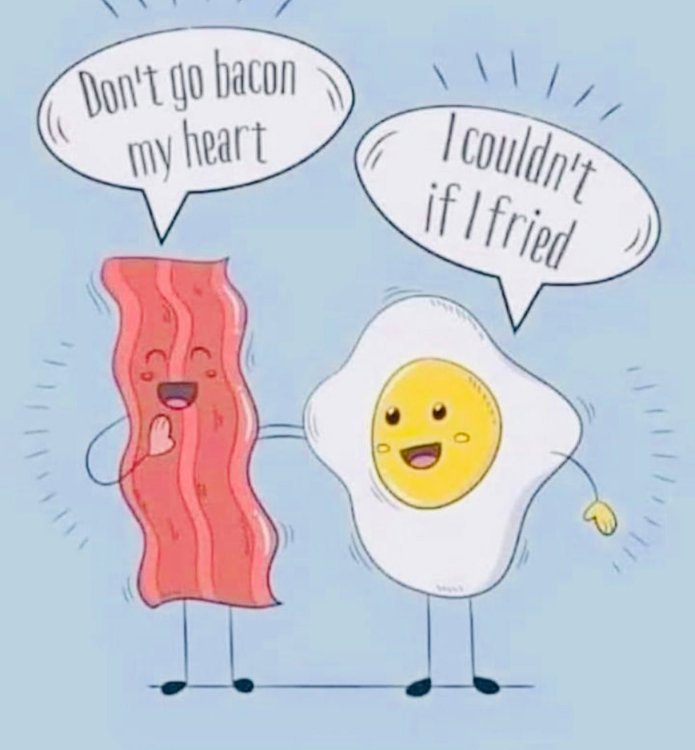 PICTURE FUNNY CARTOON 02.jpg