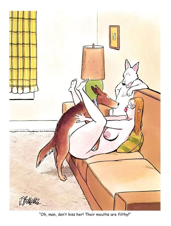 PICTURE FUNNY CARTOON 19.jpg