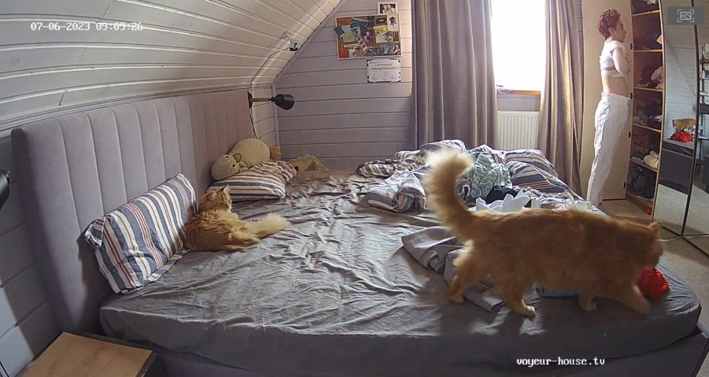 bandicam 2023-07-06 02-17-10-552.jpg