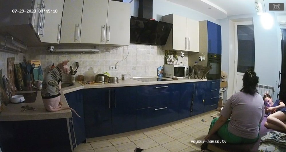 bandicam 2023-07-29 07-38-28-943.jpg