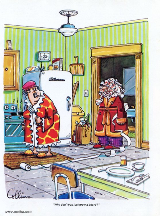 PICTURE FUNNY CARTOON 02.jpeg