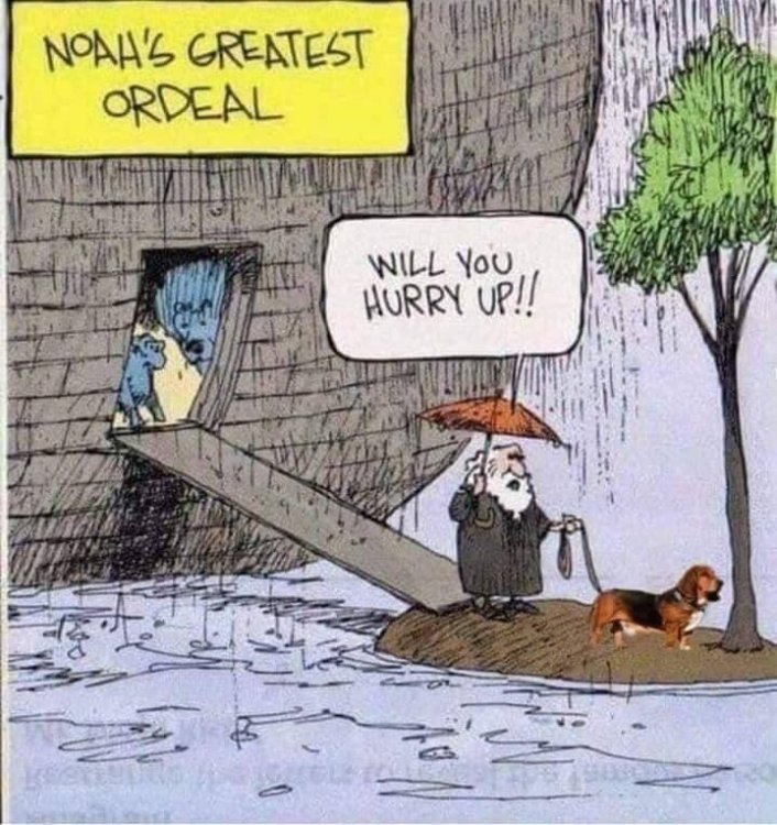 PICTURE FUNNY CARTOON 07.jpg