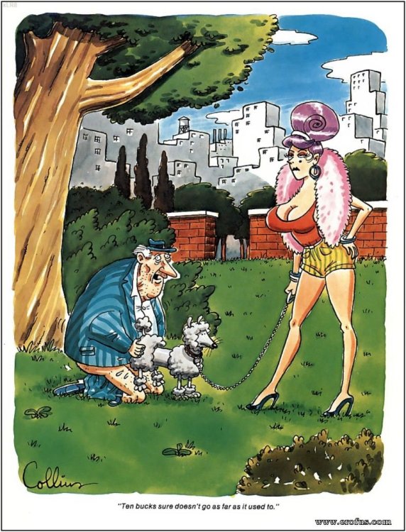 PICTURE FUNNY CARTOON 11.jpeg