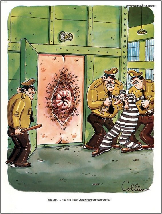 PICTURE FUNNY CARTOON 13.jpeg