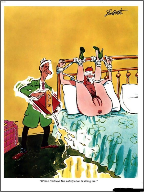 PICTURE FUNNY CARTOON 17.jpeg