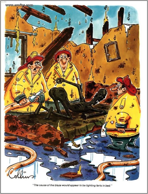 PICTURE FUNNY CARTOON 20.jpeg