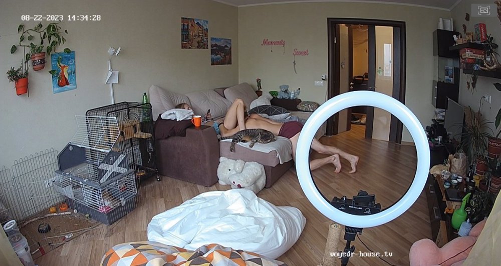 bandicam 2023-08-23 01-41-44-247.jpg