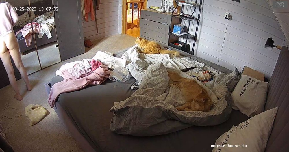 bandicam 2023-08-26 06-01-15-512.jpg