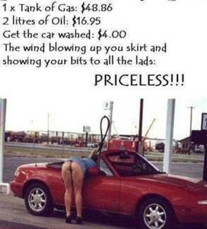 spawnpuppy434d893805ef9 (1).jpg