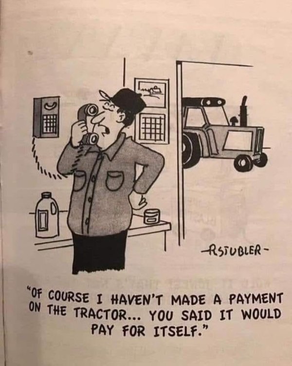 PICTURE FUNNY CARTOON 02.jpg