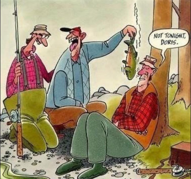 PICTURE FUNNY CARTOON 07.jpg