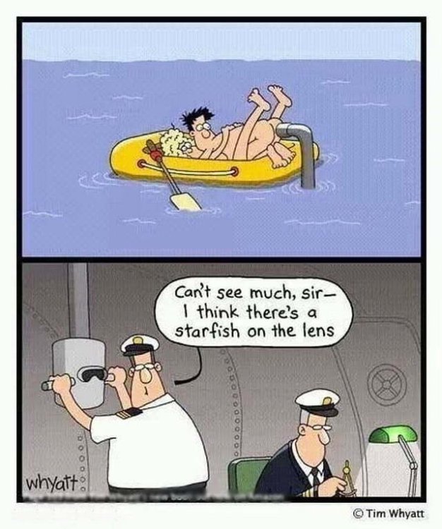 PICTURE FUNNY CARTOON 34.jpg