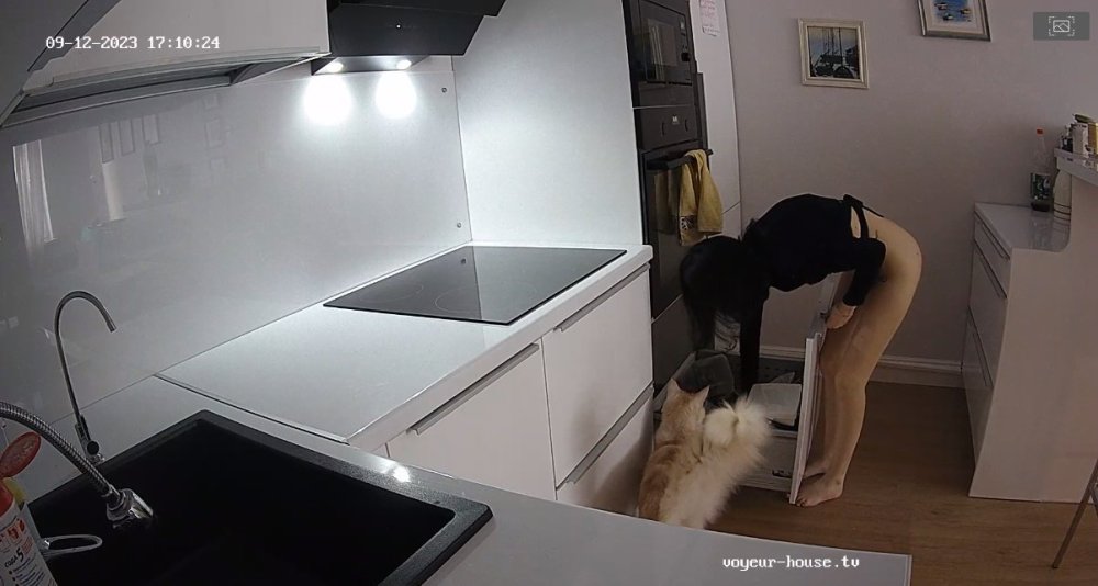 bandicam 2023-09-13 06-38-10-433.jpg