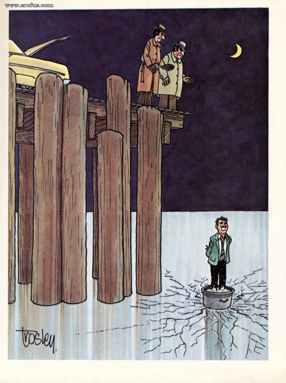 PICTURE FUNNY CARTOON 24.jpeg