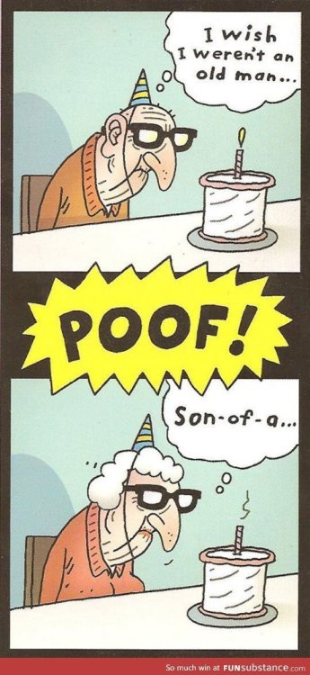 PICTURE FUNNY CARTOON 32.jpg