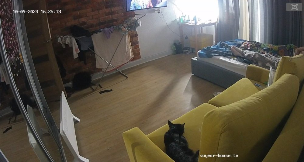 bandicam 2023-10-10 03-36-27-122.jpg