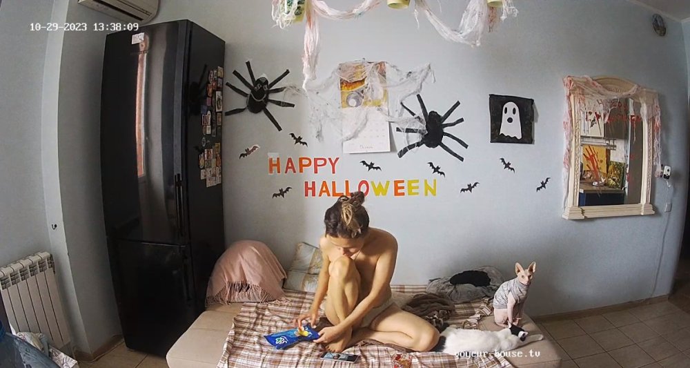 bandicam 2023-10-30 01-18-23-635.jpg