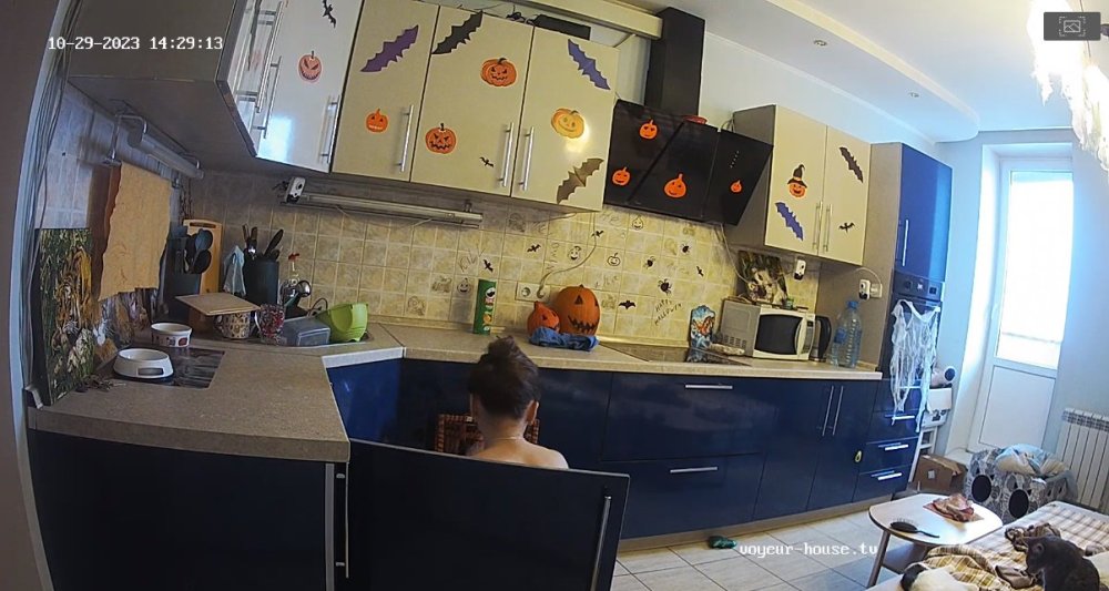 bandicam 2023-10-30 01-20-40-469.jpg