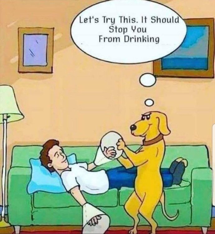 PICTURE FUNNY CARTOON 39.jpg