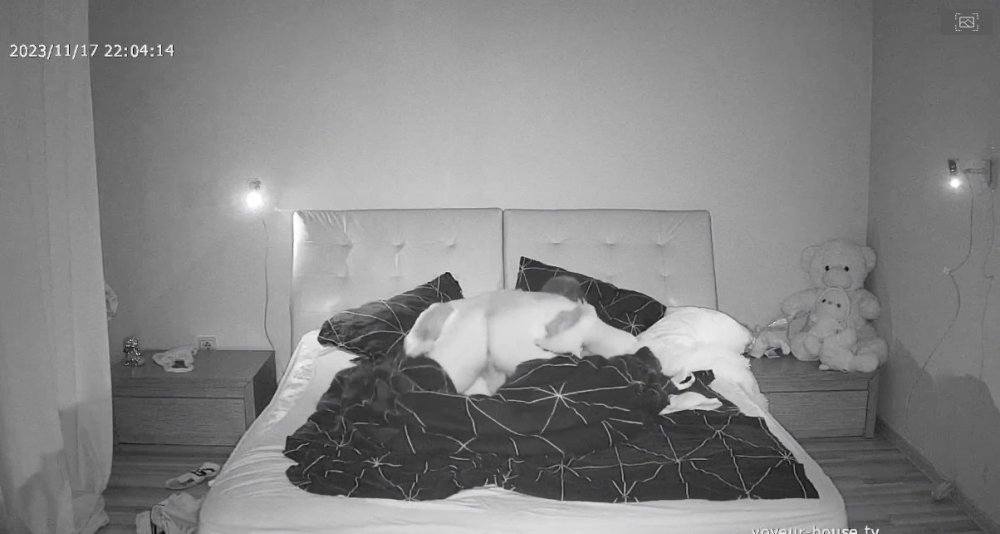 bandicam 2023-11-17 13-26-21-411.jpg