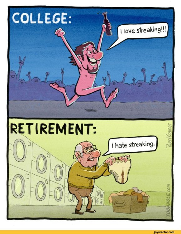 PICTURE FUNNY CARTOON 02.jpeg