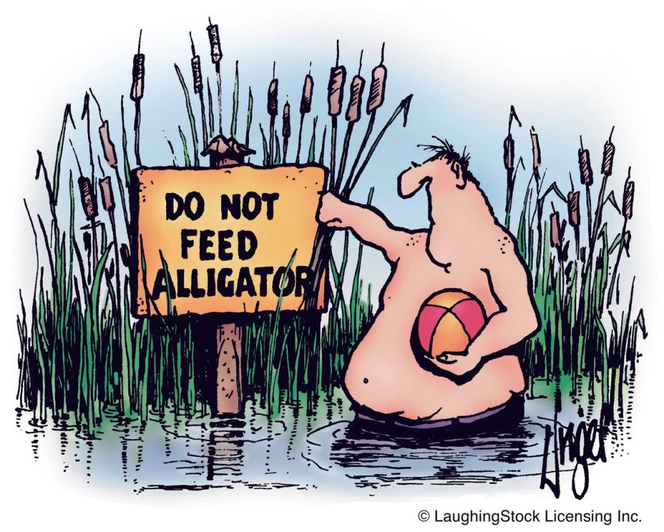 PICTURE FUNNY CARTOON 02.jpg