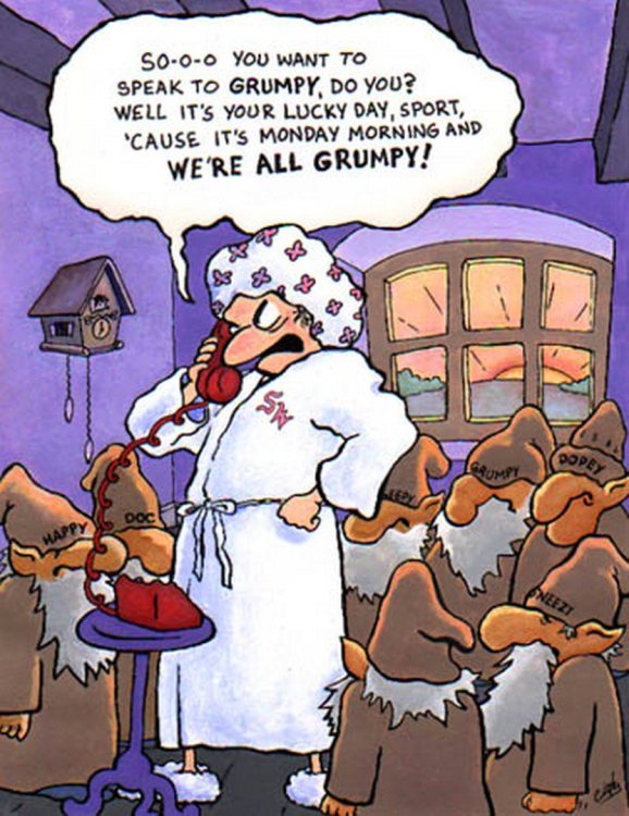 PICTURE FUNNY CARTOON 06.jpg