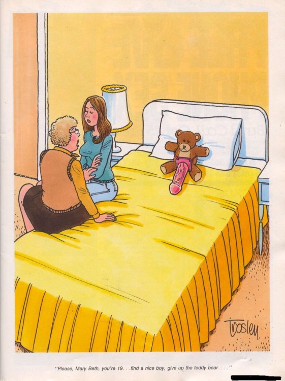 PICTURE FUNNY CARTOON 07.jpeg