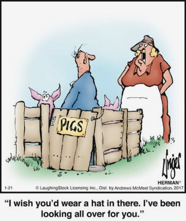 PICTURE FUNNY CARTOON 07.jpg