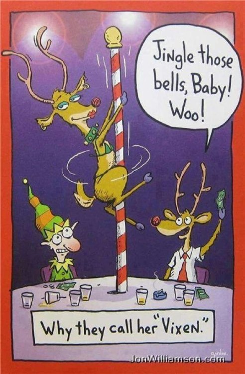 PICTURE FUNNY CARTOON 34.jpg