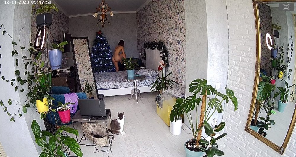 bandicam 2023-12-12 01-56-40-301.jpg