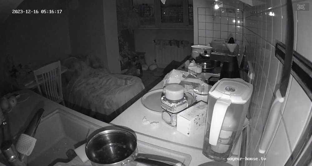 bandicam 2023-12-16 00-39-18-643.jpg