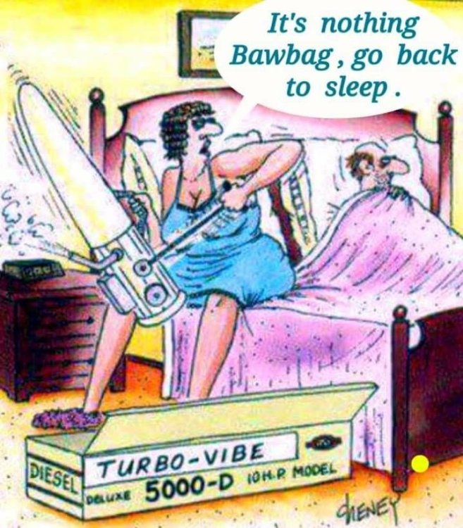 PICTURE FUNNY CARTOON 17.jpg