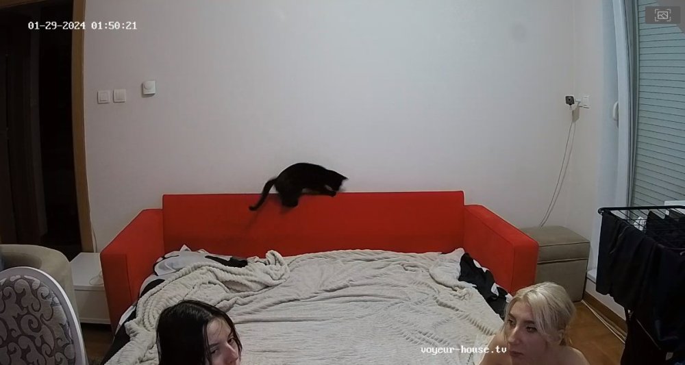 bandicam 2024-01-29 00-27-02-157.jpg