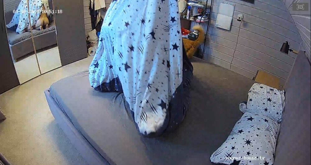 bandicam 2024-01-30 05-13-30-606.jpg