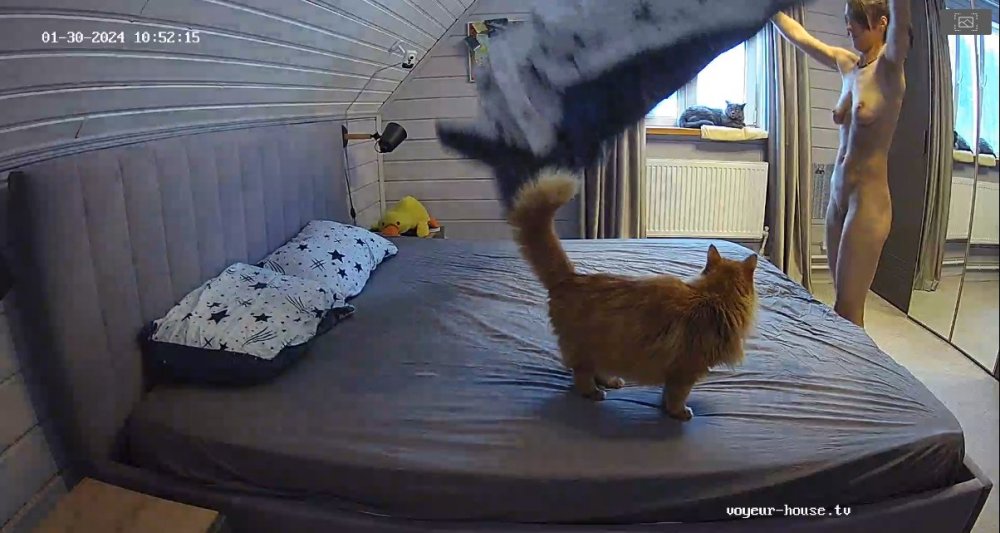 bandicam 2024-01-30 05-14-47-218.jpg