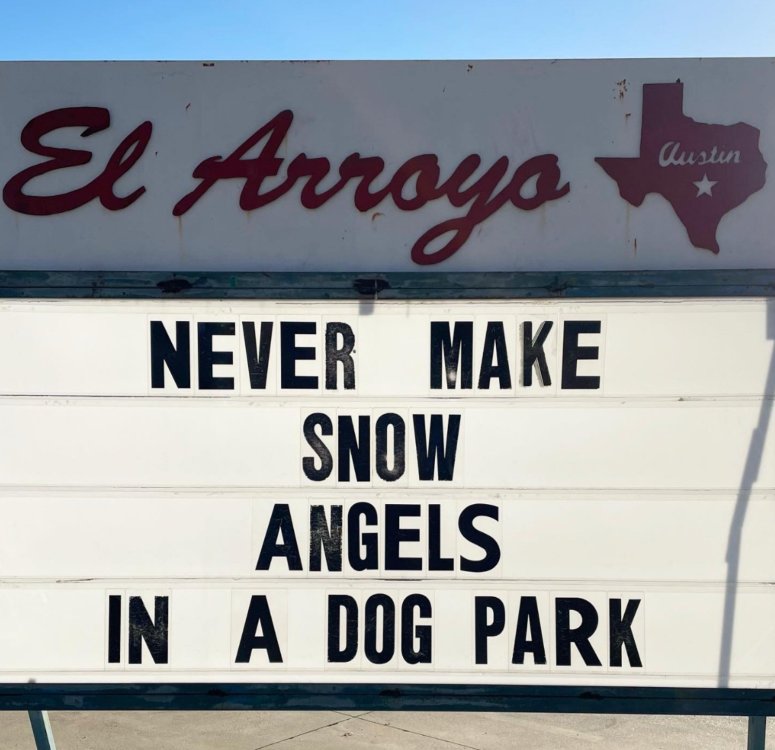 funny-meme-snow-angels-dog-park.jpg