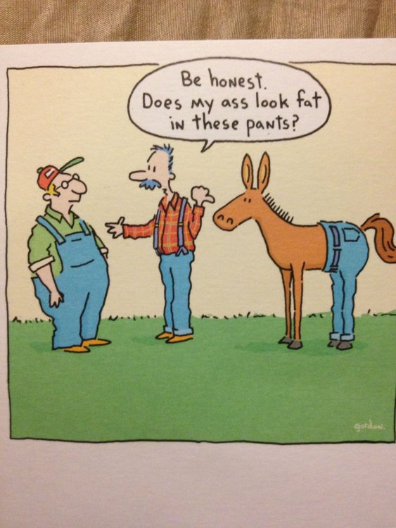 PICTURE FUNNY CARTOON 33.jpg