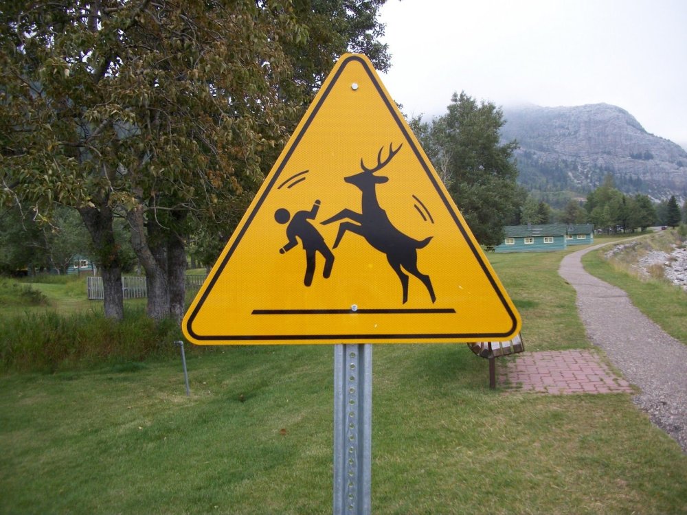 PICTURE FUNNY SIGNS 04.jpg