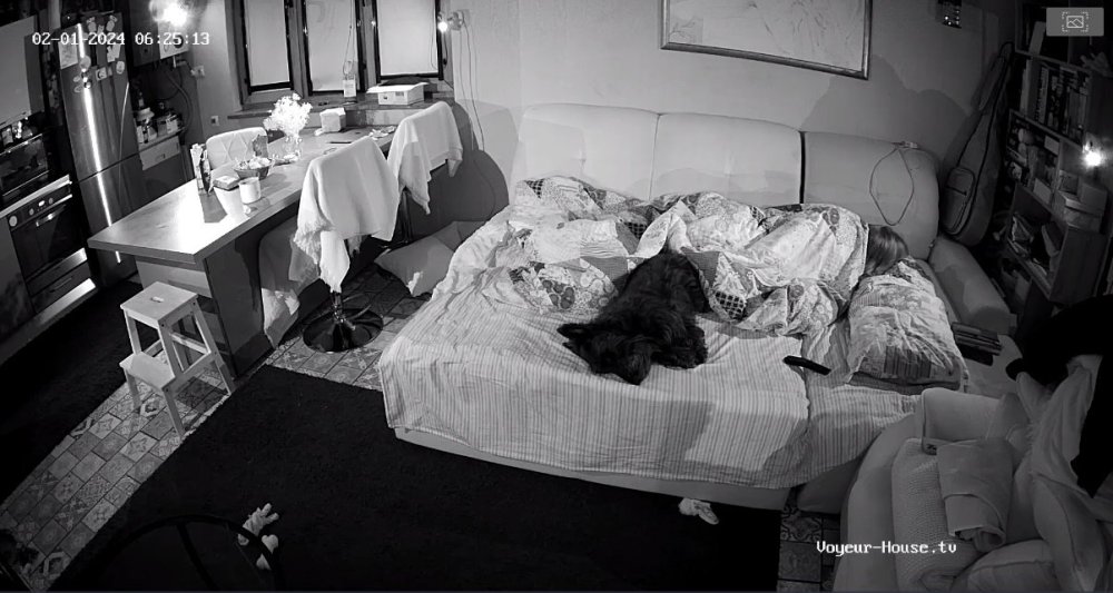 bandicam 2024-02-01 06-54-22-037.jpg