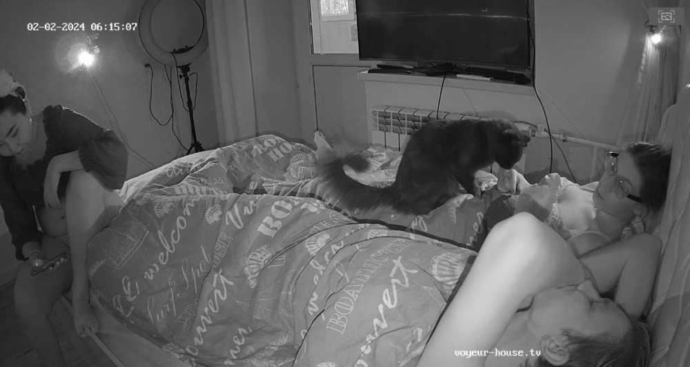 bandicam 2024-02-01 23-49-21-286.jpg