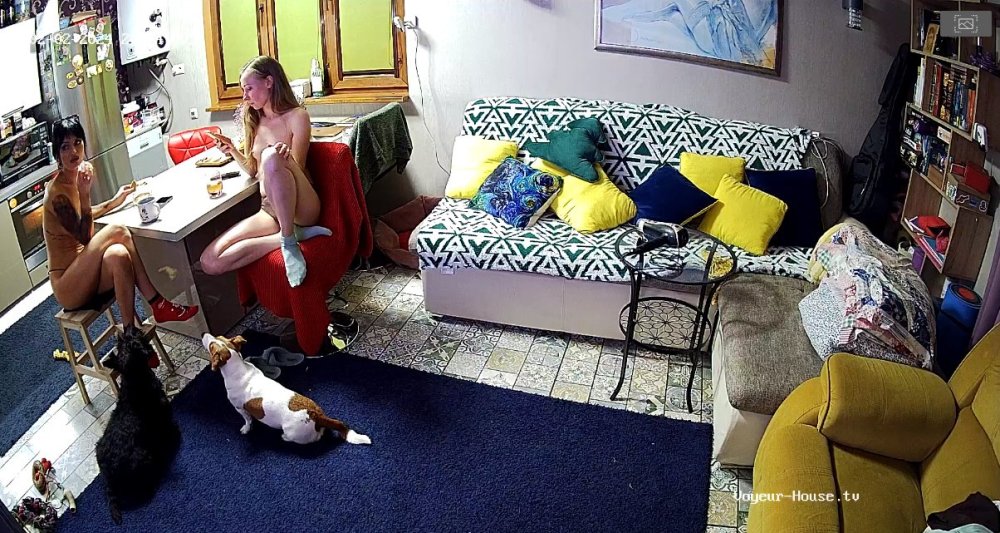 bandicam 2024-02-02 13-38-30-576.jpg